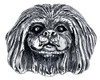 Pekingese Charm Bead