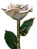 "Glass Slipper" White Sparkle Rose Trimmed in 24kt Gold                                      