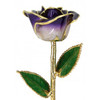  "Sugar Plum" Purple & White Rose Trimmed in 24kt Gold 