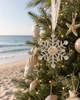 Delaware Beaches® Dune Silver Snowflake Ornament (Sand and Turquoise) 2026