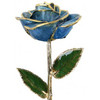 "Blue Crush" Light Blue Rose Trimmed in 24kt Gold 