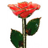 "Heart of Fire" Bright Red Sparkle Rose Trimmed in 24kt Gold 