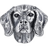 Vizsla Charm Bead