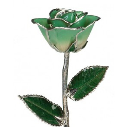 "Lucky Charm" Two Toned Light Green Rose Trimmed in Platinum