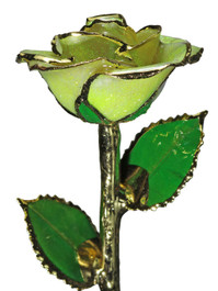  NEW "Tinkerbell" Neon Yellow Sparkle Rose Trimmed in 24kt Gold 