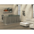 Medina Reception Station in Gray Steel