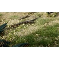 Gravel - Natural