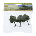 2.25" - 2.5" Deciduous Trees