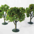 2.25" - 2.5" Orange Trees