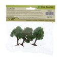 2.25" - 2.5" Orange Trees