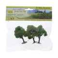 2.25" - 2.5" Orange Trees