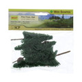 3.5" - 5" Pine Trees