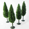 3.5" - 4" Poplar Trees