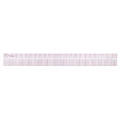 C-THRU Beveled Pica Ruler
