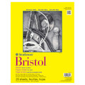 300 Series Bristol - Vellum Surface