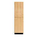 24"W Split-Door Storage Cabinet