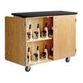 Mobile Microscope Storage Cabinet