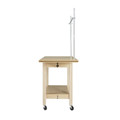 Multi-Purpose Mobile Cart