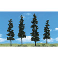 4" - 6" Conifer Trees
