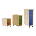 Access Duo Euro Tote Cabinet