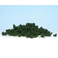 Underbrush Groundcover - Medium Green
