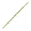 Premier Colored Pencil - Pale Sage 1089
