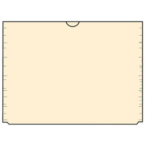 Blank X-Ray Film Jackets with Outer Pocket, 11-Point, Carton of 100