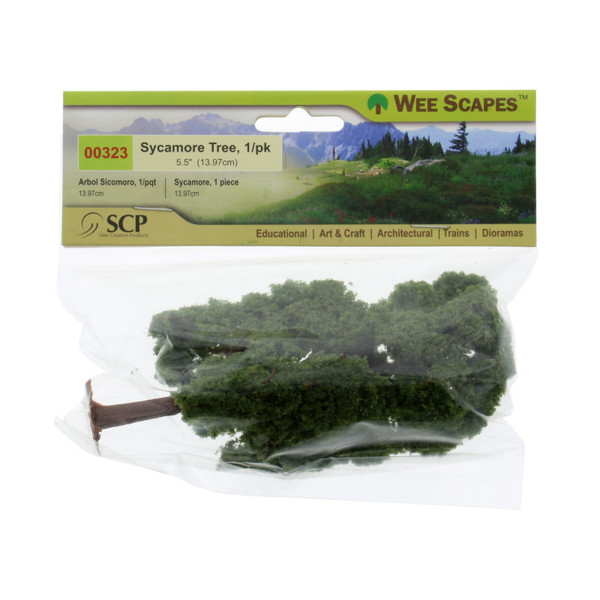 5.5" Sycamore Tree