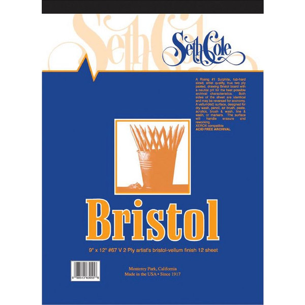 Bristol Board Pad - Vellum Surface
