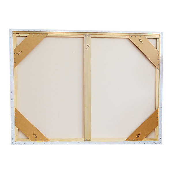 PRO Dixie Stretch It Yourself Canvas Kit