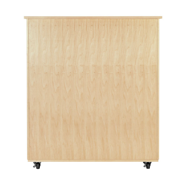 Large Microscope Storage Cabinet