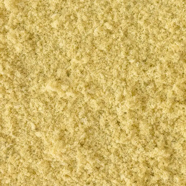 Coarse Turf - Yellow Grass