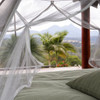 View looking inside a freestanding mosquito net