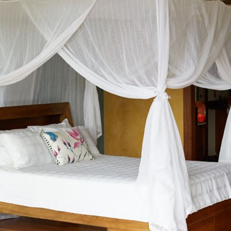 What is the best mosquito net 