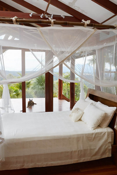 Polyester mosquito net box for King and California King bed