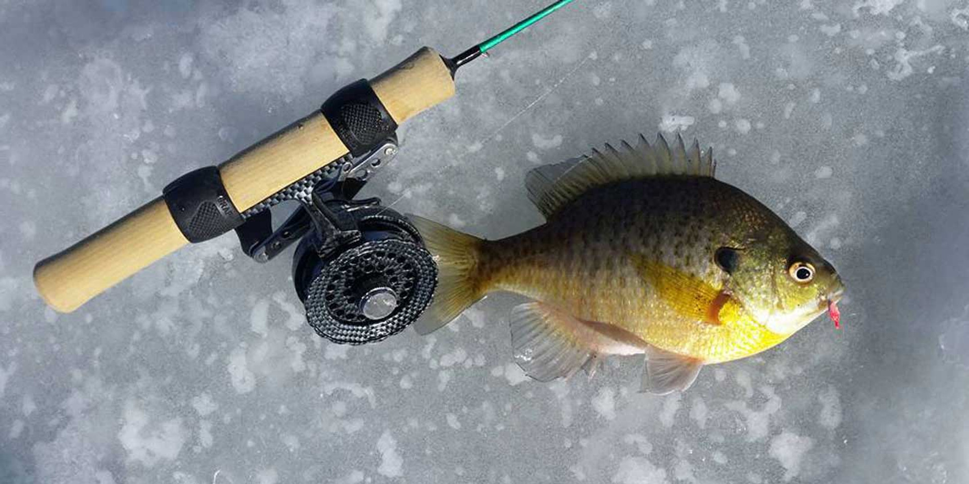 Panfish, Ice fishing jigs, Freshwater fishing