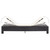 vidaXL Sunbed with Cushion Black Poly Rattan A949-46234