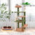 Multilevel Cat Tree with Scratching Posts and Rope Plush Perch Toy Bed-Green - Color: Green D681-PV10195GN