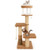 65 Inches Tall Cat Tree with Self-groomer and Removable Cat Bed-Coffee B593-PV10265