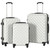  Hardcase Trolley Set 3 pcs Bright Silver ABS A949-91887
