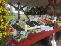 farm-stand-2017.jpg