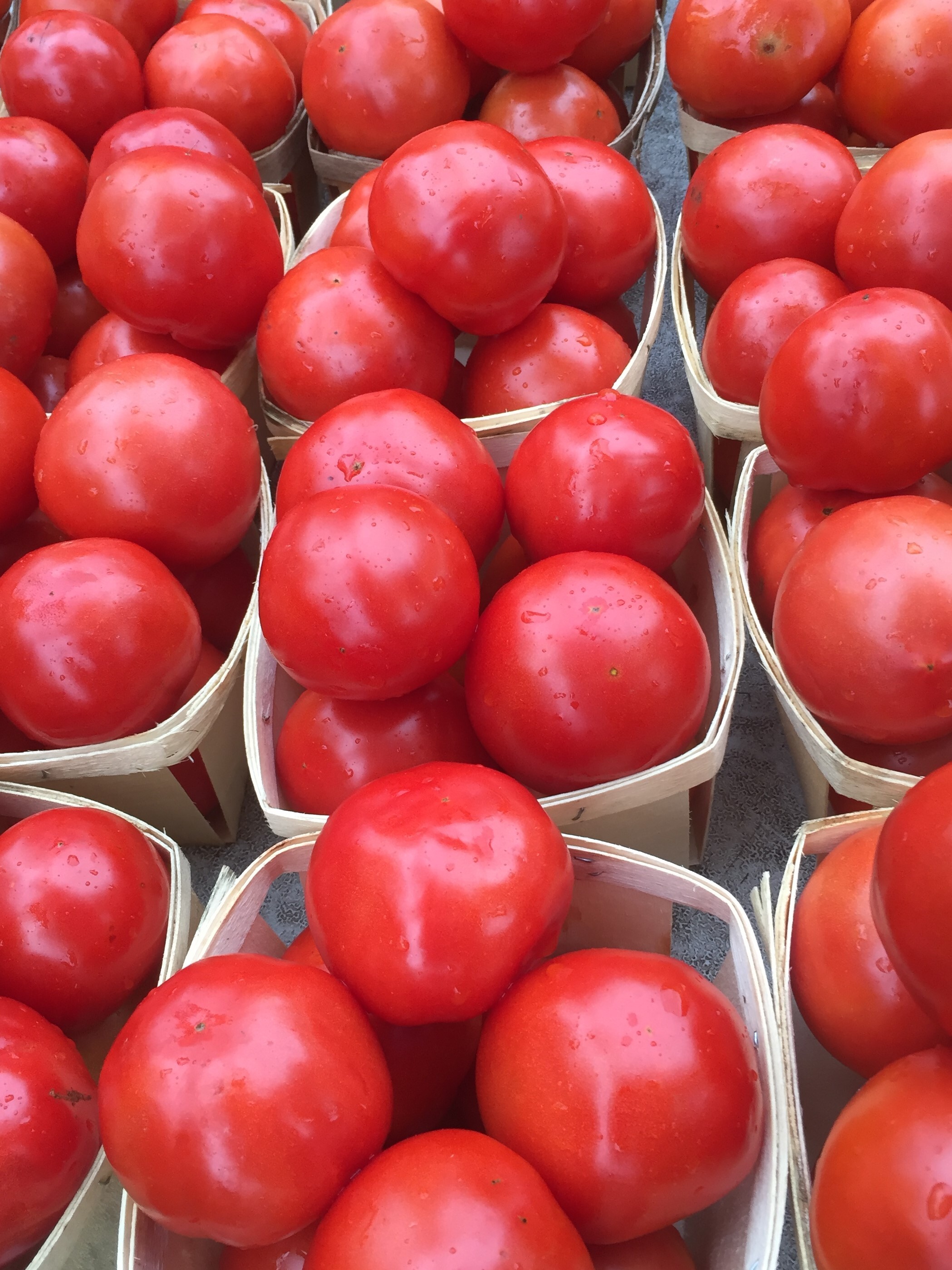 tomatoes.jpg