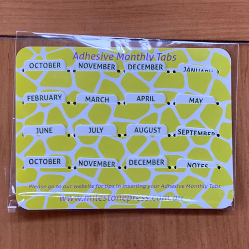White with Silver  Adhesive Monthly Tabs