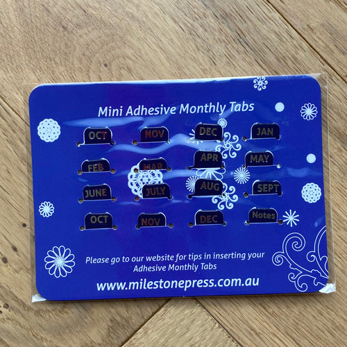 Mini Navy with Silver  Adhesive Monthly Tabs