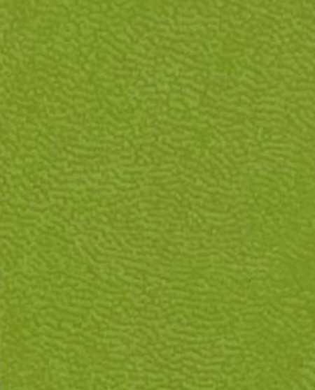 2027  Master Plan Diary  Midori Anthurium