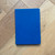 2027  Master Plan Diary Delphinium