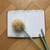 2027  Master Plan Diary Dahlia Karma Choc