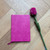 2027  Master Plan Diary  Protea Pink Duke