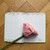 2027  Master Plan Diary  Midori Anthurium