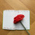 2027  Master Plan Diary  Midori Anthurium